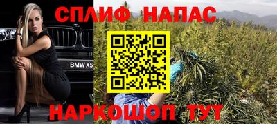 скорость Пугачёв