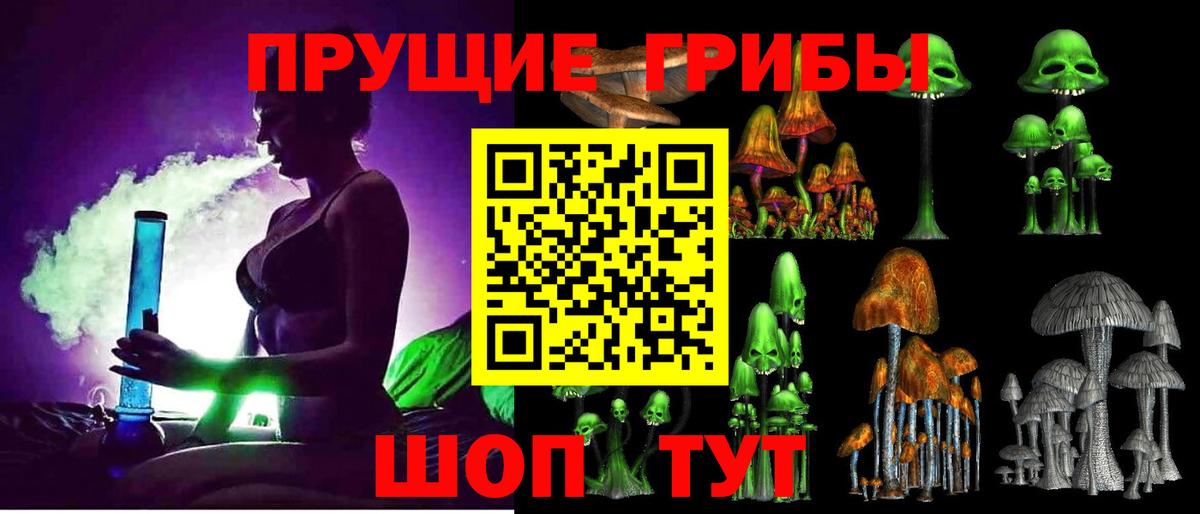 Сальск  Галлюциногенные грибы Psilocybine cubensis  Вход с VPN 
